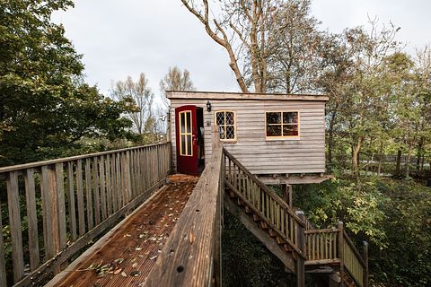 L'arbre a cabane avec un balcon dans un environnement naturel - 2