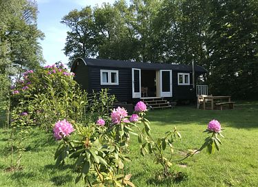 Knusse pipowagen bij natuurpark in Drenthe - 3