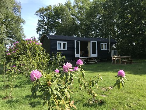 Knusse pipowagen bij natuurpark in Drenthe - 3