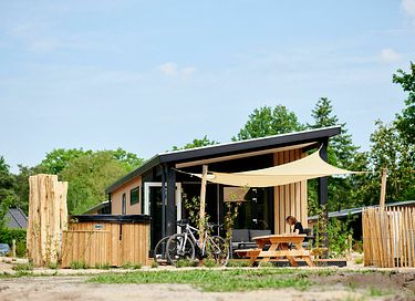 Small house with jacuzzi in the Veluwe Region - 2
