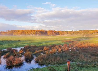 Groot en luxe vakantiehuis in Zeeland - 42