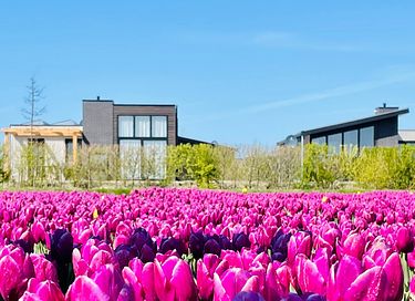 Luxe vakantiehuis (7p) op Goeree-Overflakkee - 23