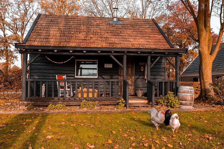 B&B rural avec véranda - 1