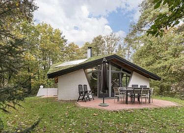 Design bungalow (8p) in bosrijke omgeving - 4