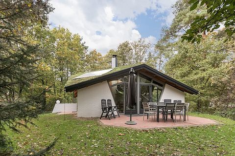 Design bungalow (8p) in bosrijke omgeving - 4