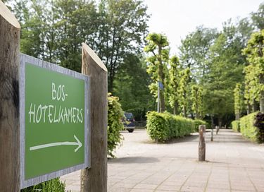 Heerlijke buitenkamer dichtbij het bos - 12