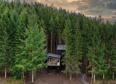 Special overnight stay among the trees - 2
