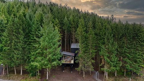 Special overnight stay among the trees - 2