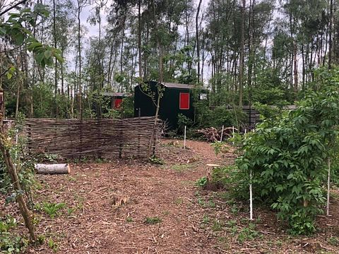 Knusse pipowagen midden in de natuur - 4