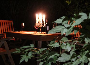 Ruhig gelegenes Jagdhaus in der Eifel - 14