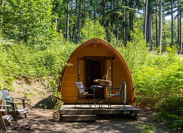 Luxus-Pod inmitten des Waldes