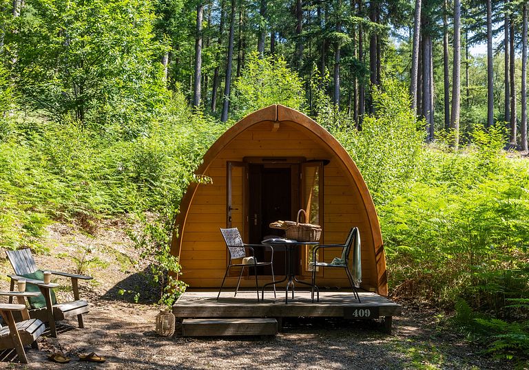 Luxury Pod in the middle of the forest - 1