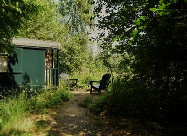 Hyggeligt ophold direkte ved vandet i en skov - 6
