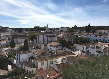 Villa in Portugal met privé zwembad en tuin - 42