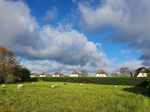 Luxuriöse Ferienvilla (6p) auf Texel - 3