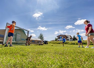 Glamping dans une ferme équestre et laitière - 9
