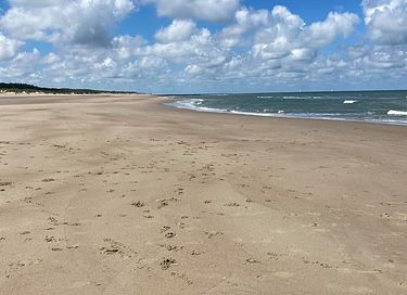 Natuurhuis vlakbij de Zeeuwse kust - 17