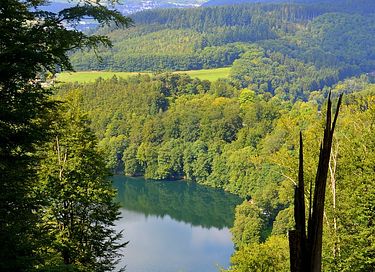 Stilvolles Haus in der Vulkaneifel - 33