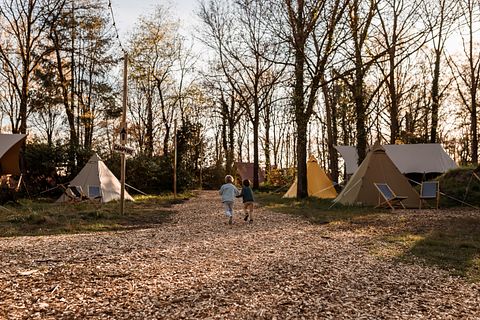 Klassieke safaritent op Nederlandse camping - 3