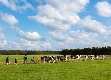 Glamping auf der Dairy & Calf Farm - 22