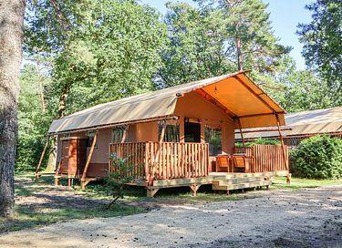 Luxury safaritent on the Veluwe - 14