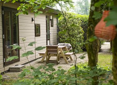 Mooi gelegen vakantiehuis midden op de Veluwe - 5