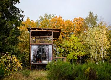 Luxe boomhut met dakterras en wellness - 2