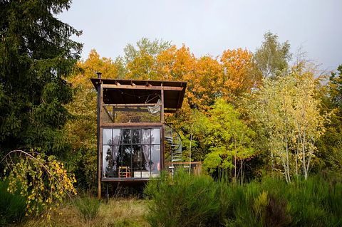 Luxe boomhut met dakterras en wellness - 2