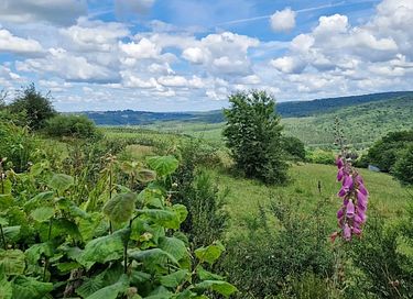 Wellness huisje in de Ardennen met uitzicht - 24