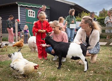 Glamping auf einem Schafbauernhof in Zeeland - 5