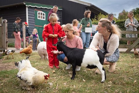 Glamping auf einem Schafbauernhof in Zeeland - 5