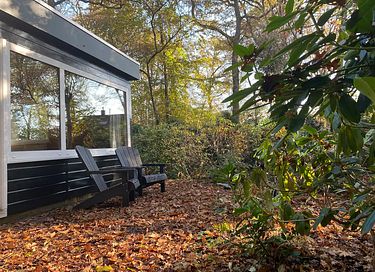 Leuk houten boshuisje in Drenthe 