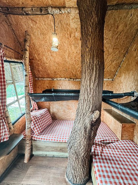 Cabane suspendue dans un beau camping à Drenthe - 4