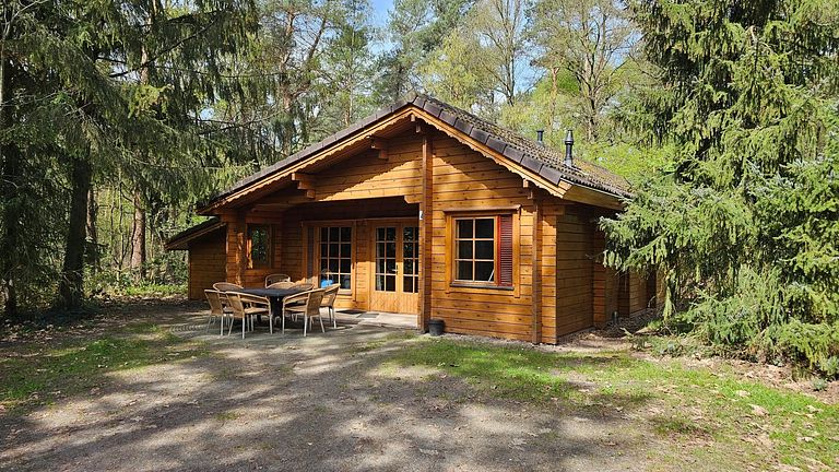 Cabane en rondins robuste (8 personnes) dans la forêt - 1
