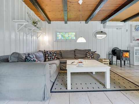 Stråtækt feriehus i Danmark - 4