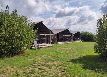 Safari tent on quiet location in Brabant - 17