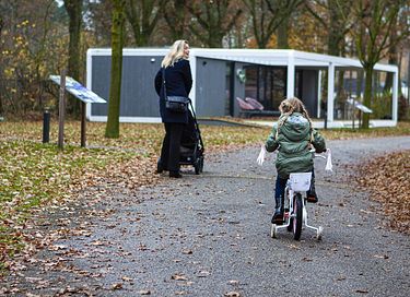 Modern forest cubes in Limburg - 9
