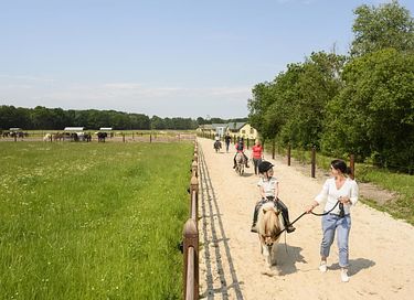  Glamping à la ferme à cheval et à poney - 18