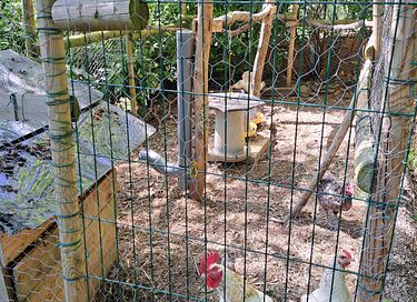 Selbstversorgendes Übernachten im Wald - 24