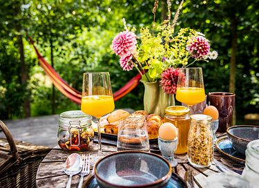 Casetta nel bosco con giardino wellness privato - 16