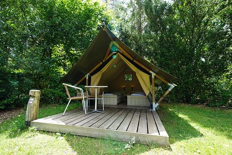 Glamping tent for 2 on the Veluwe - 3