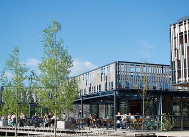 Wooden vacation home near Amsterdam! - 15