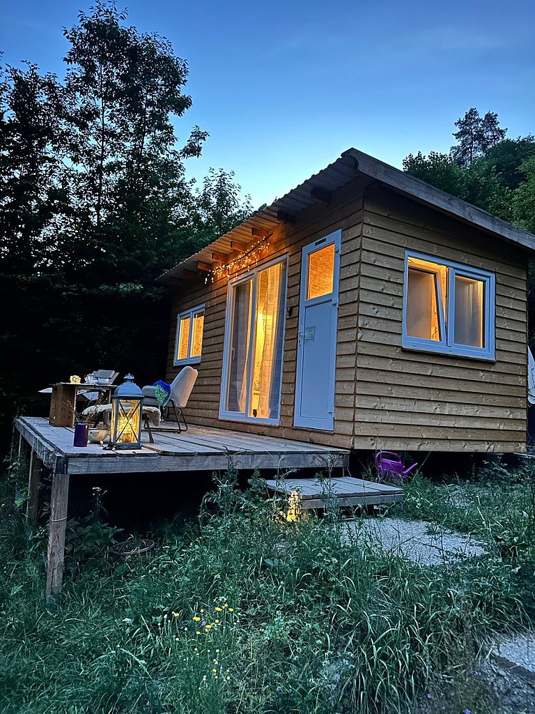 Avontuurlijk Tiny House in het bos  - 1
