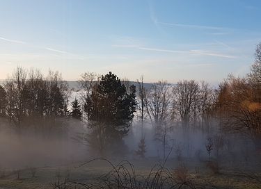 Kom tot rust in het Zwarte Woud - 25