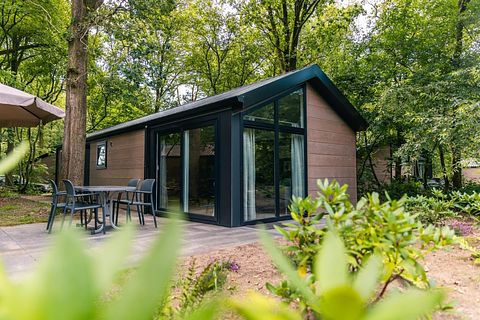 Vakantiehuis in de natuur in Drenthe - 3