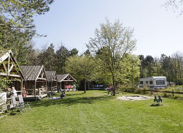 Cottage op een gezellige camping in Brabant - 11