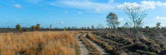 Location de vacances en Campine