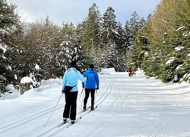 Moderne Ferienwohnung in der Nähe der Skipiste - 43