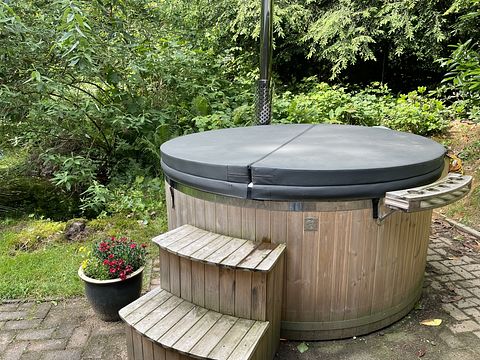 Forest cabin in the Veluwe, with hot tub - 2