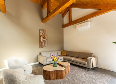 Dog-friendly holiday home on the Veluwe - 8